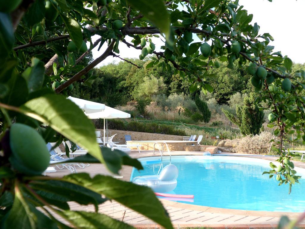 Agriturismo Apparita Montecastelli Pisano Eksteriør billede