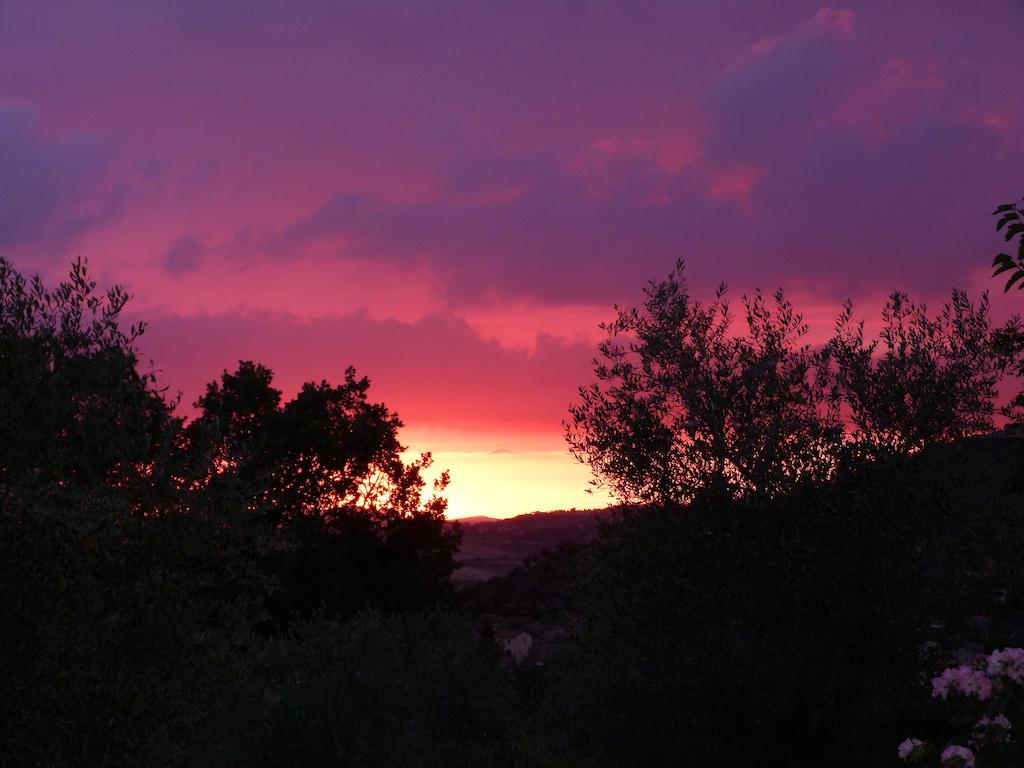 Agriturismo Apparita Montecastelli Pisano Eksteriør billede