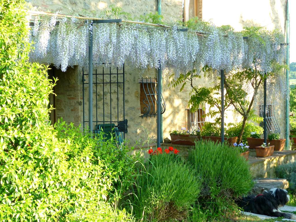 Agriturismo Apparita Montecastelli Pisano Eksteriør billede